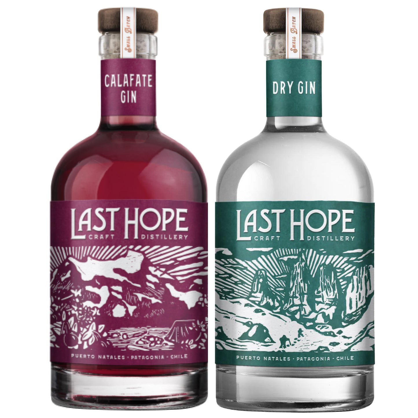 Producto__PACK-GIN-LAST-HOPE-DRY-_-CALAFATE-BOT-700CC